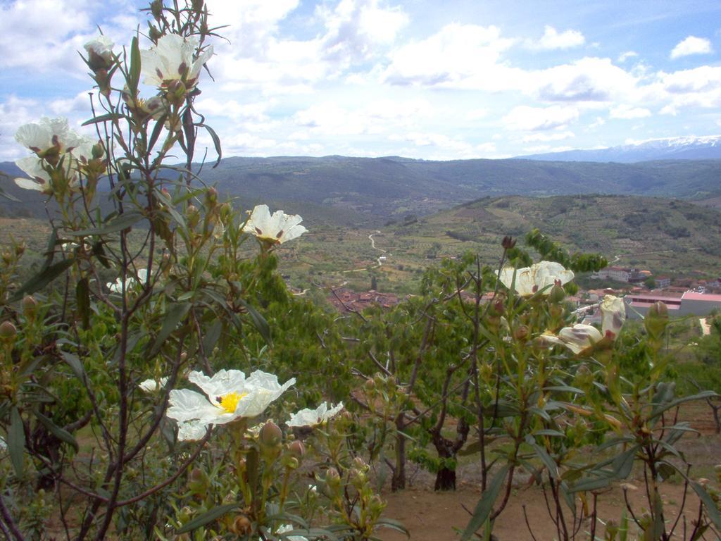 Hotel Rural Sierra De Francia Sotoserrano Esterno foto